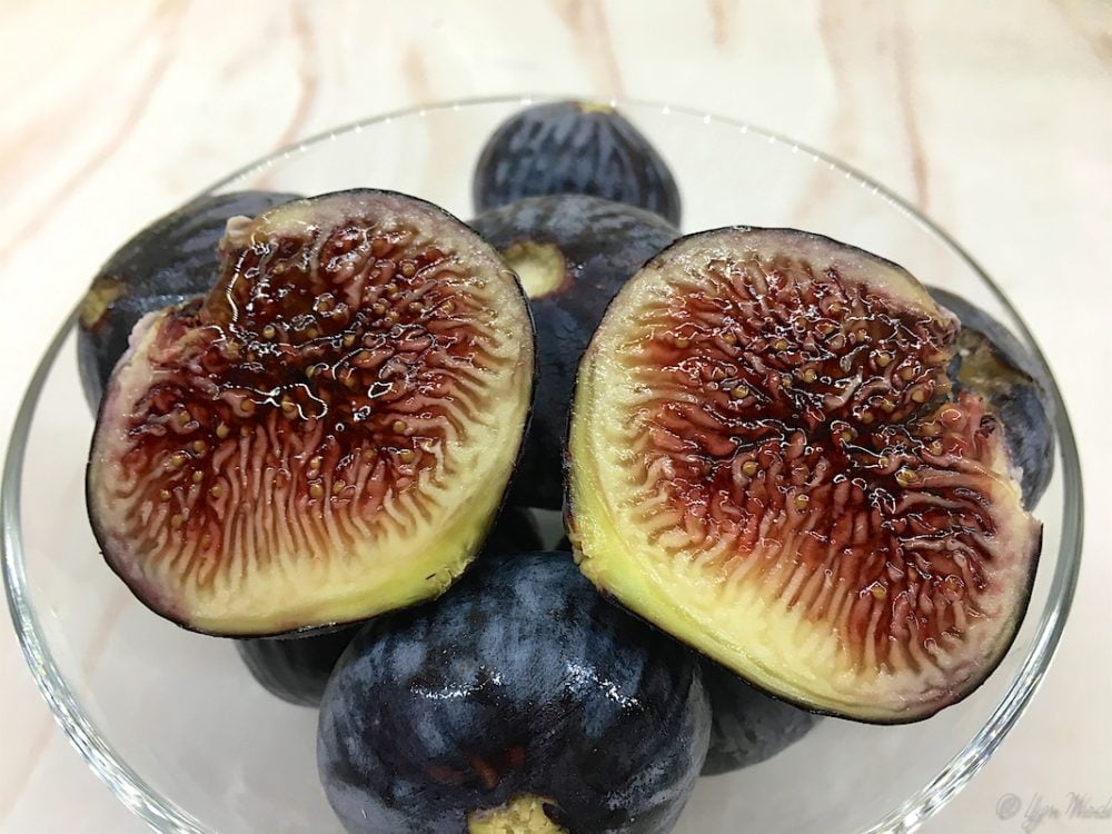 INTRODUCTION TO FIGS