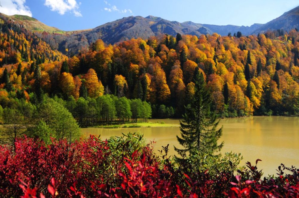 The beauty of autumn in Türkiye - Fethiye Times