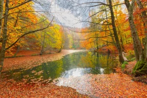 Autumn in Turkey: A Season of Magic and Colour