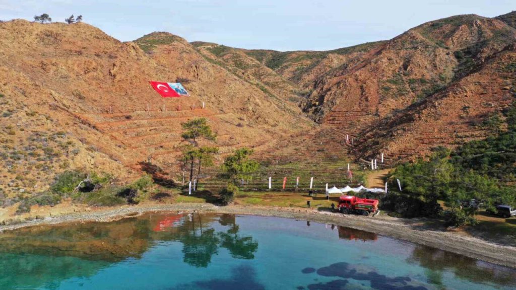 Marmaris Forest Rises from the Ashes: Afforestation Efforts Bring New Life