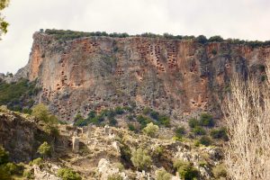 Pınara
