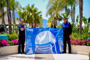 Blue Flag Beaches