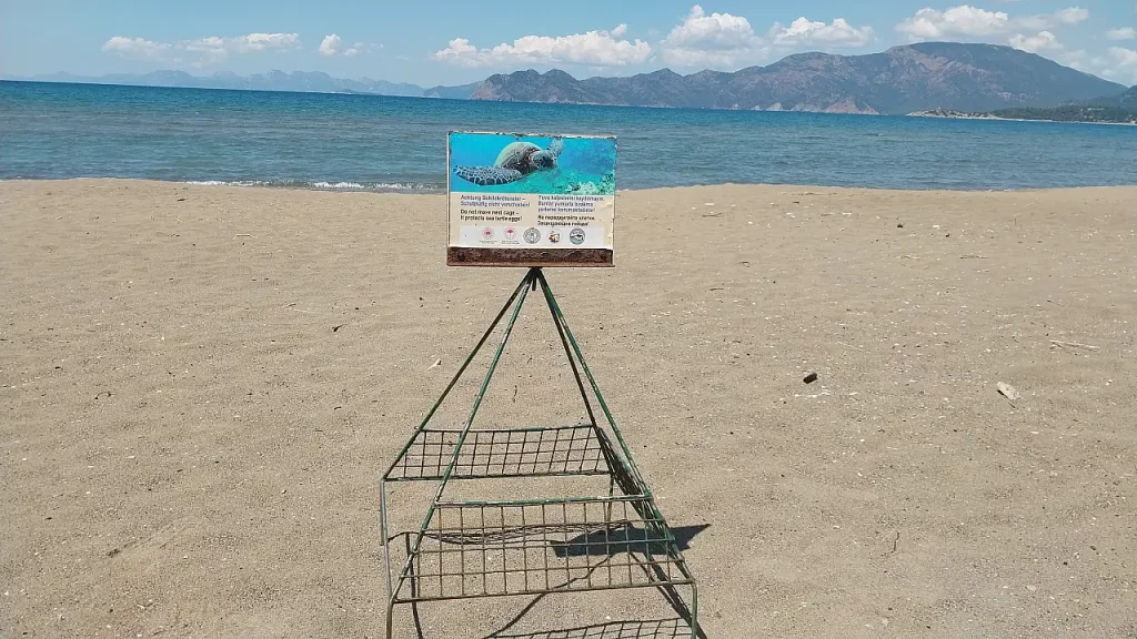 Number of Caretta Caretta Nests on İztuzu Beach Reaches 10