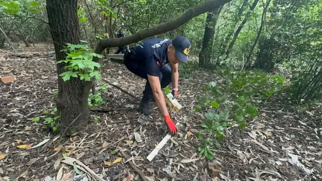 Marmaris Fills Trailer with Rubbish in One Hour During ‘The Forest is Mine’ Campaign
