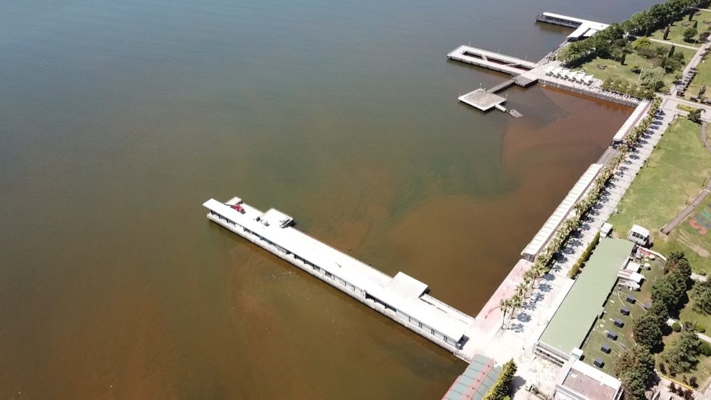 Brown Waters in Izmit Bay Prompt Investigation and Environmental Concern