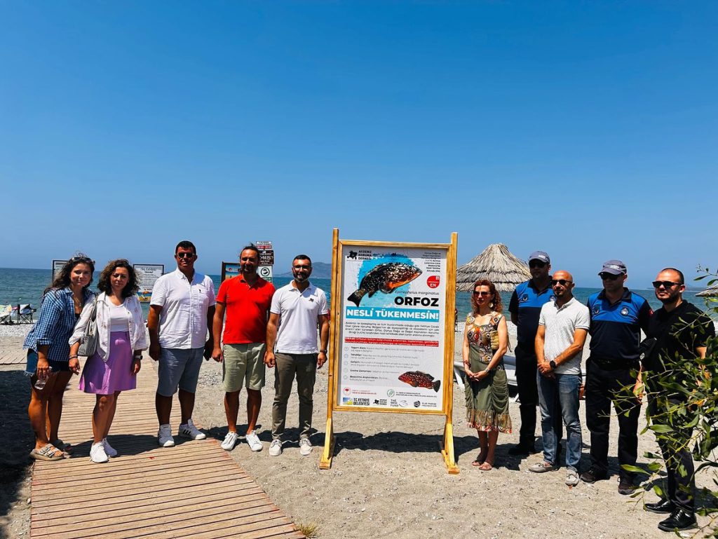 Fethiye Hosts Sea Life Awareness Event for Turkey Environment Week