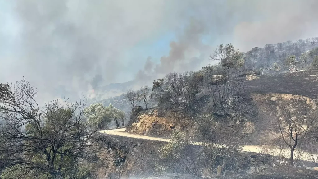 Turkey Enters Critical Wildfire Season as Aydın Blaze Forces Evacuations