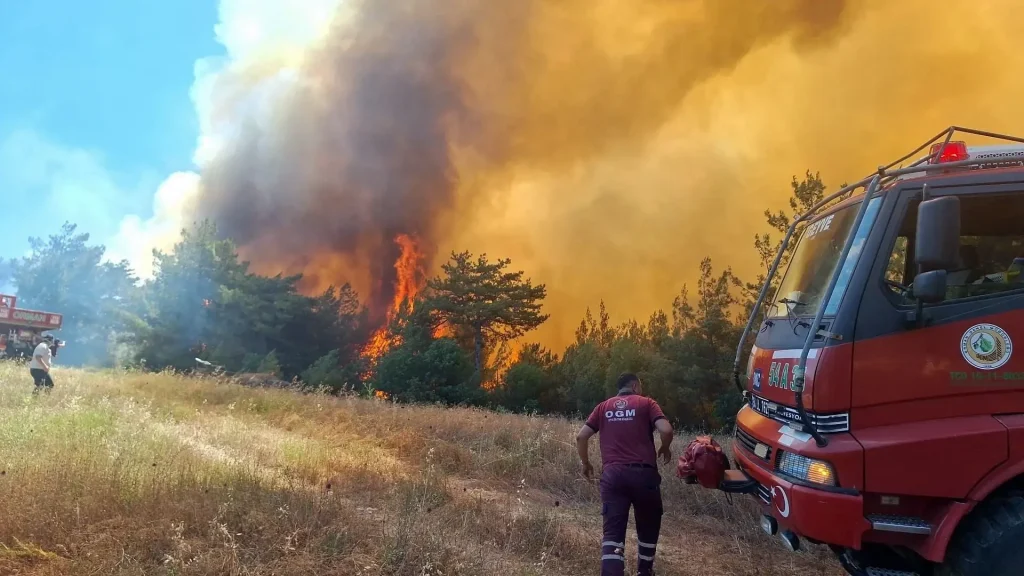 Turkey Battles Multiple Wildfires as Heatwave Fuels Rapid Spread