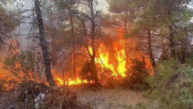 Forest Entry Bans Announced for Antalya and Muğla to Prevent Summer Wildfires