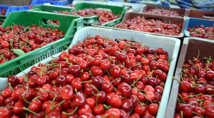 Turkey cherry imports