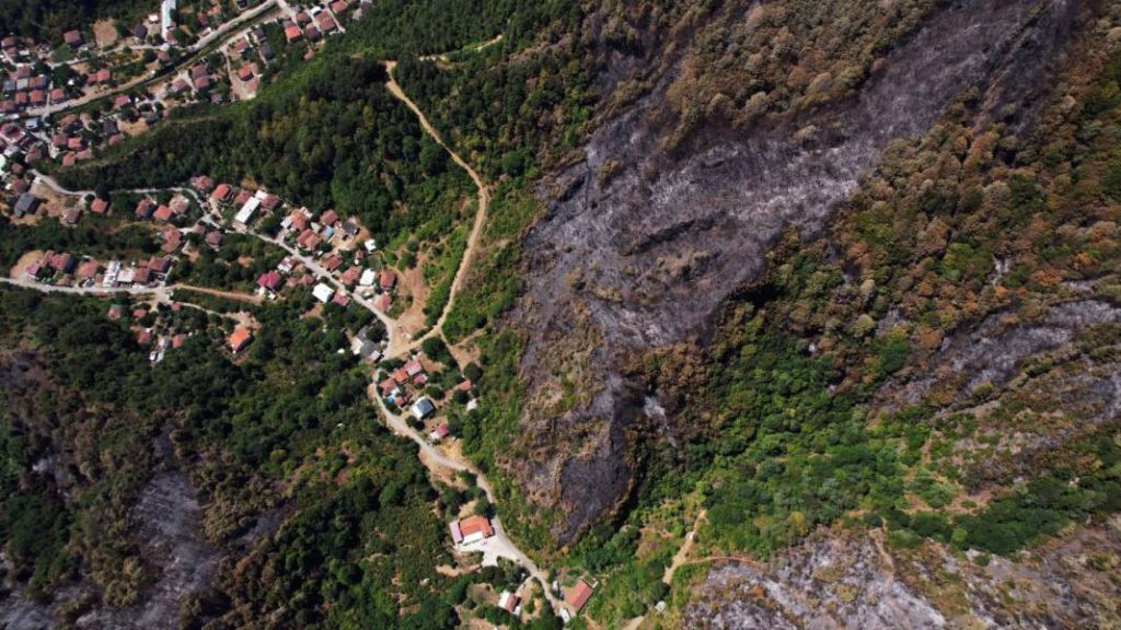 SAKARYA, TURKEY — The grim aftermath: green and black side by side