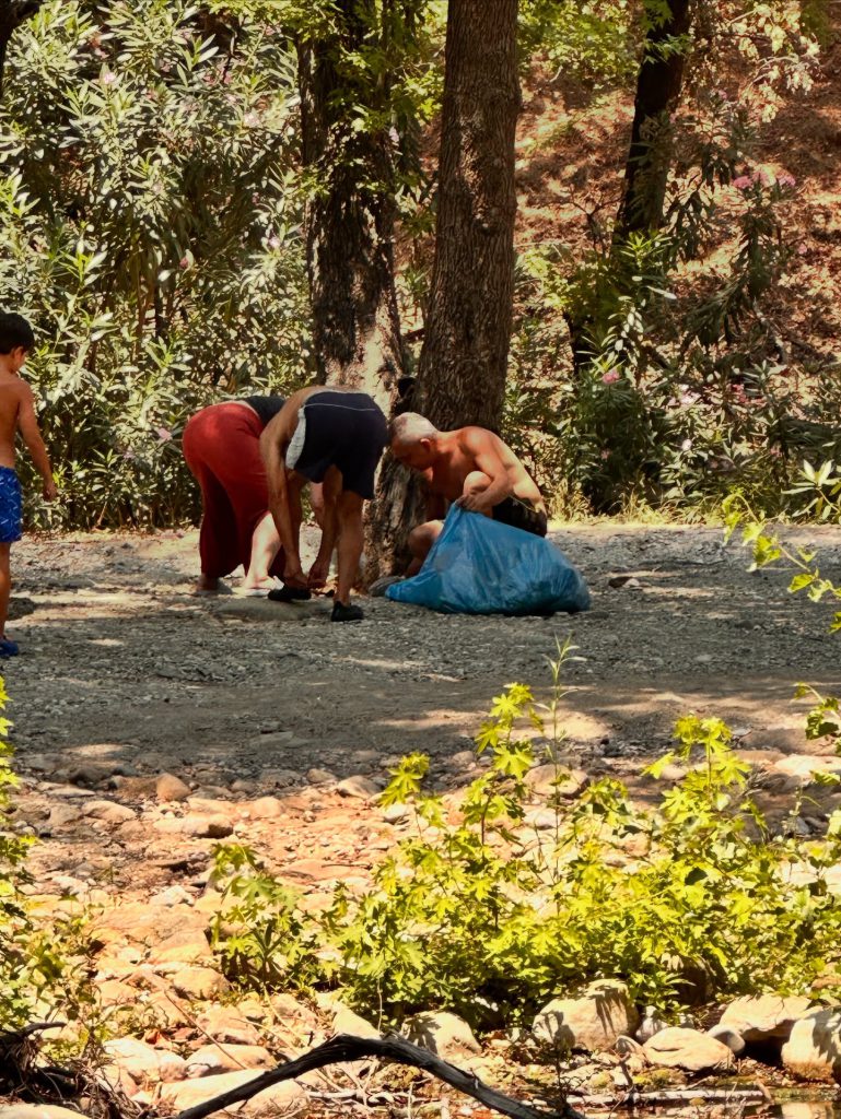 Kindness in Action: Cleanup in Green Valley Inspires Community