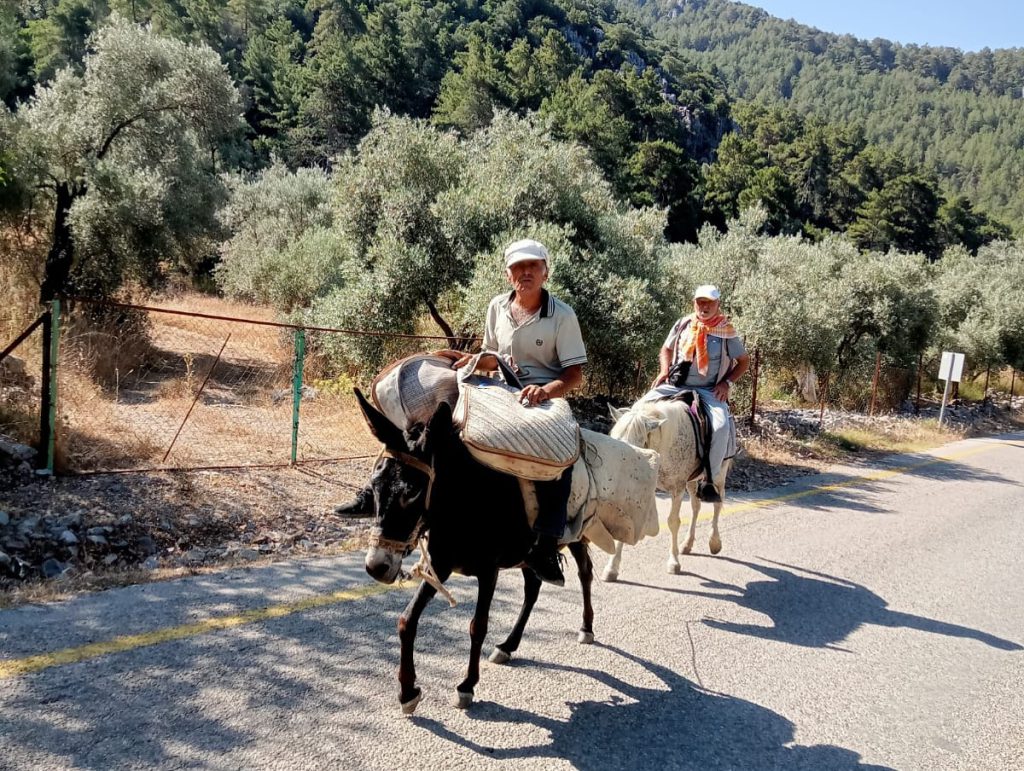 22nd Göcek–Gürsu–Pırnaz Yayla Walk Completed