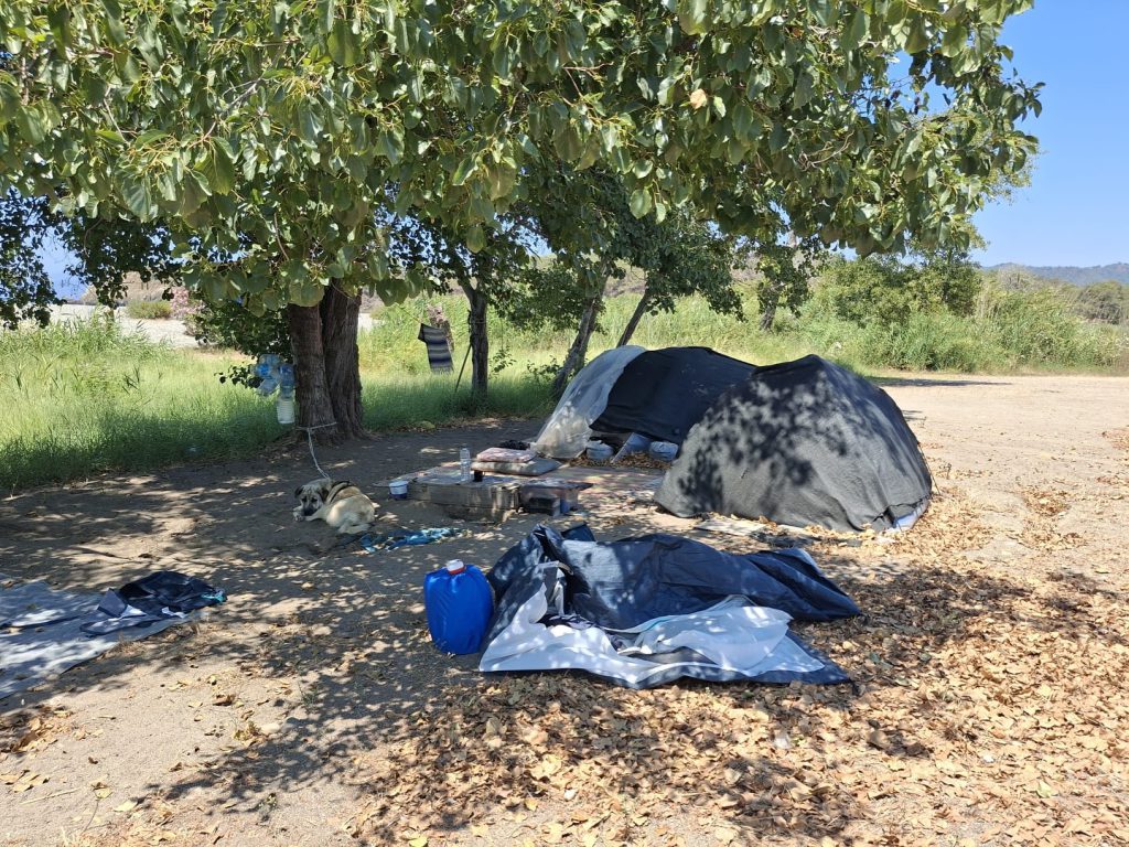 Fethiye Municipality and Gendarmerie Begin Removal of Unauthorized Tents in Forest Areas