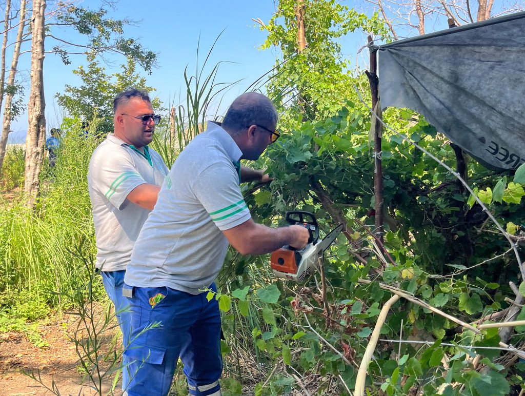 Fethiye Municipality and Gendarmerie Begin Removal of Unauthorized Tents in Forest Areas