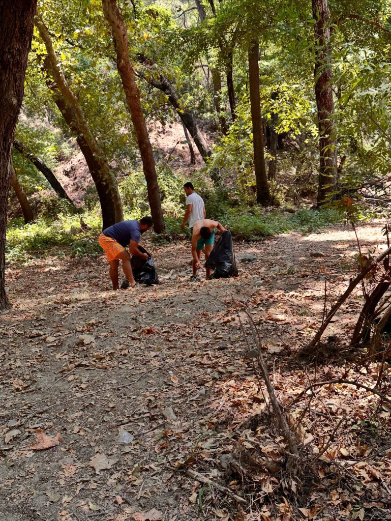 Kindness in Action: Cleanup in Green Valley Inspires Community