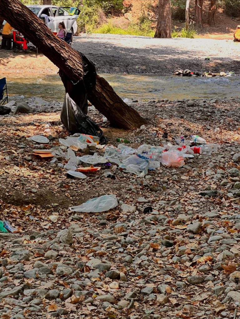 Kindness in Action: Cleanup in Green Valley Inspires Community