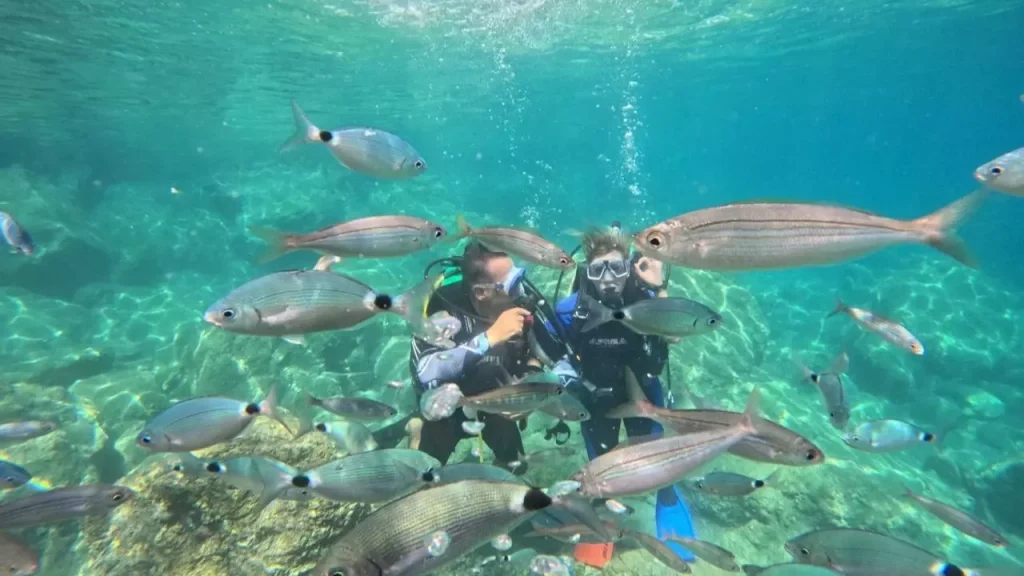 Growing domestic interest keeps Marmaris dive tourism afloat