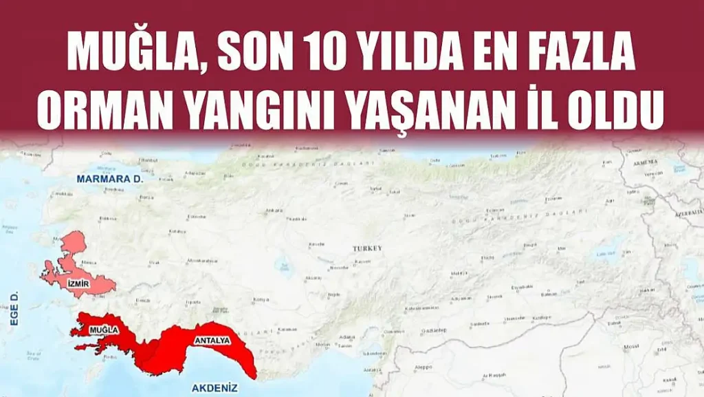 Muğla Records the Highest Number of Forest Fires in Turkey Over the Past Decade
