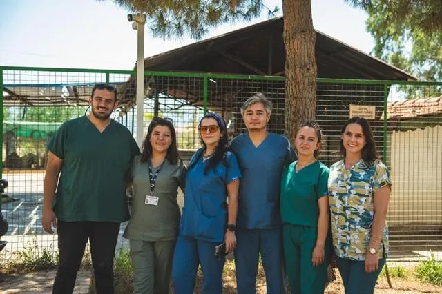 Turkey’s First VIP Animal Shelter Project Begins in Fethiye