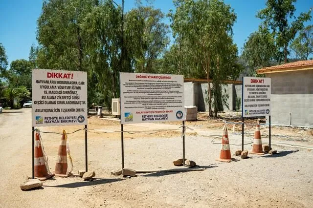 Turkey’s First VIP Animal Shelter Project Begins in Fethiye