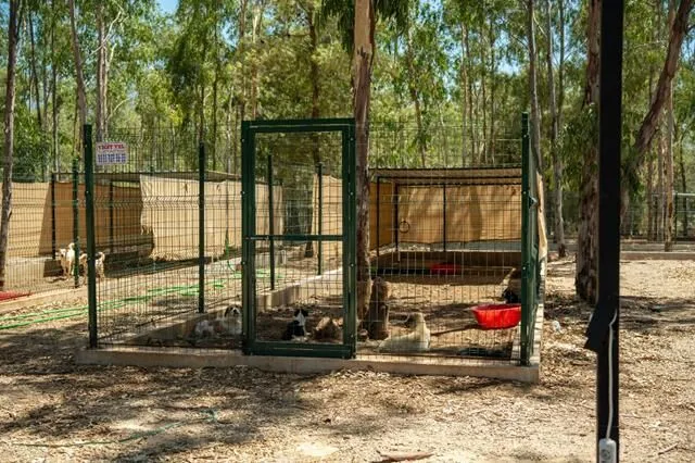 Turkey’s First VIP Animal Shelter Project Begins in Fethiye