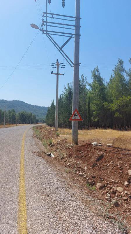 Storks Found Dead in Yakacık Neighborhood, Residents Call for Action