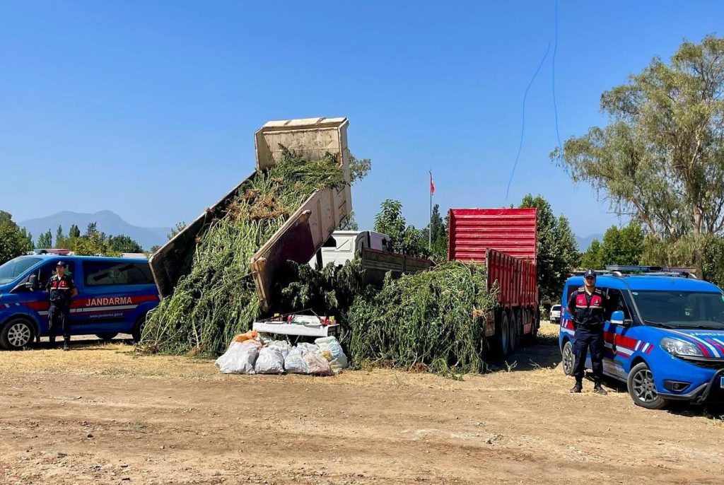 Cornfield Turns Out to Be Cannabis Field in Muğla