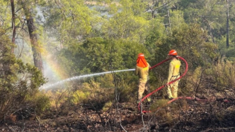 Forest Fire in Fethiye Contained Within 2.5 Hours