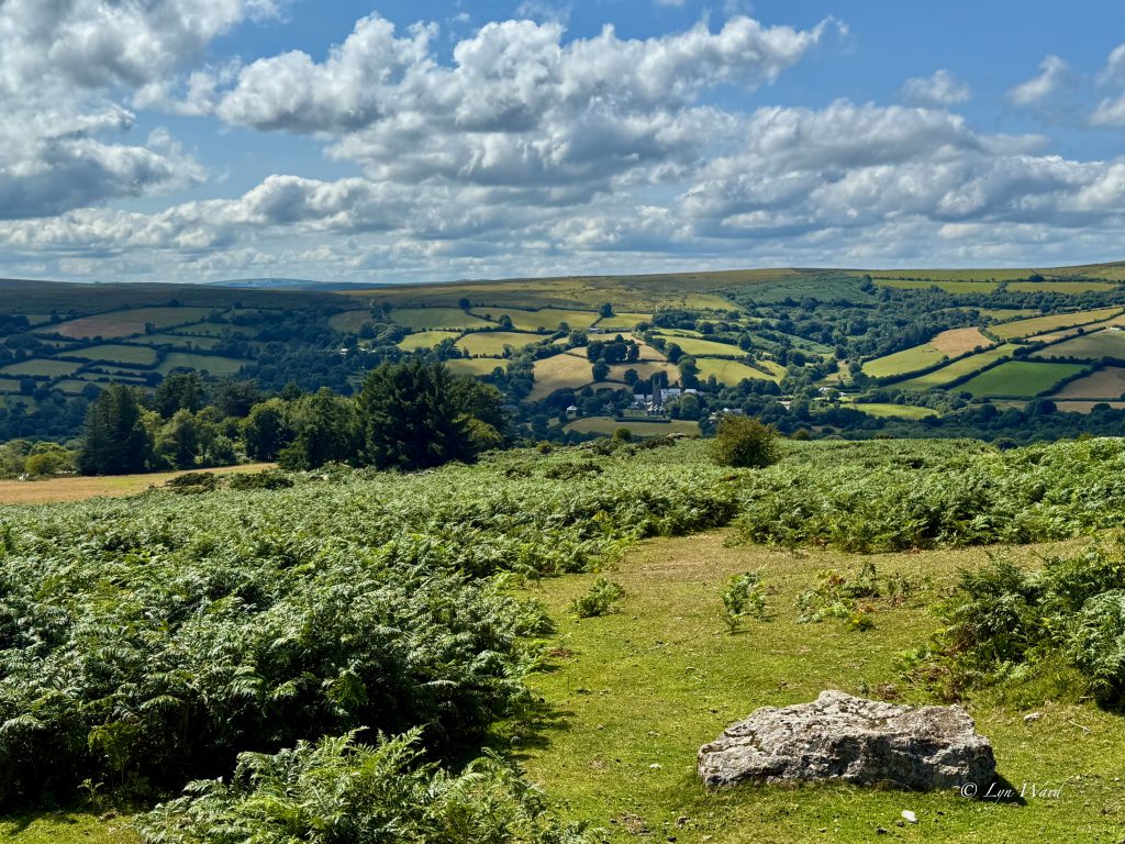 Dartmoor