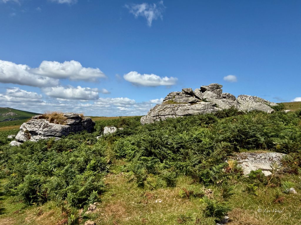 Dartmoor
