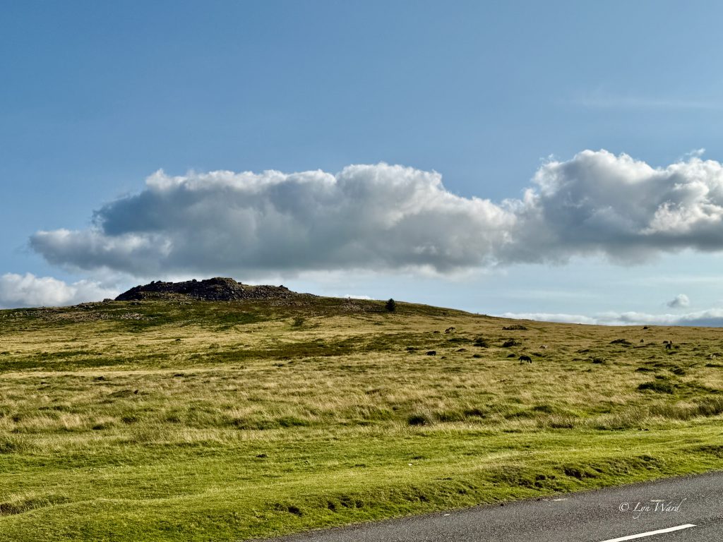 Dartmoor