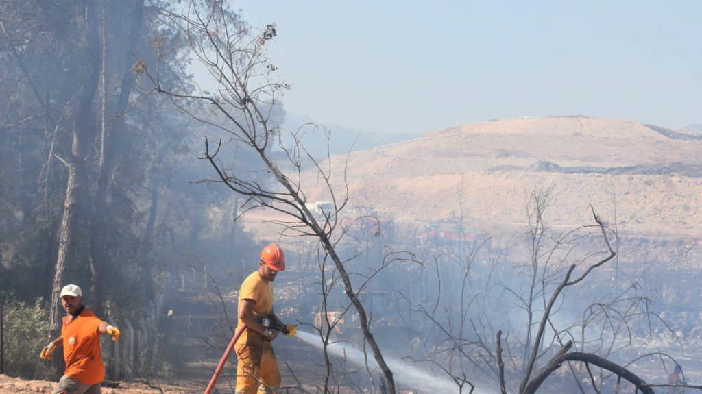 Turkey Faces Rising Wildfire Risks Amid Climate Change and Social Shifts