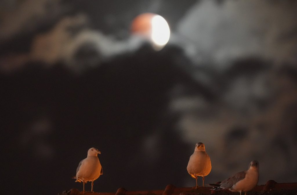 Blood Moon Lunar Eclipse Mesmerises Sky-Watchers in Turkey