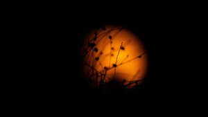 Blood Moon Lunar Eclipse Mesmerises Sky-Watchers in Turkey