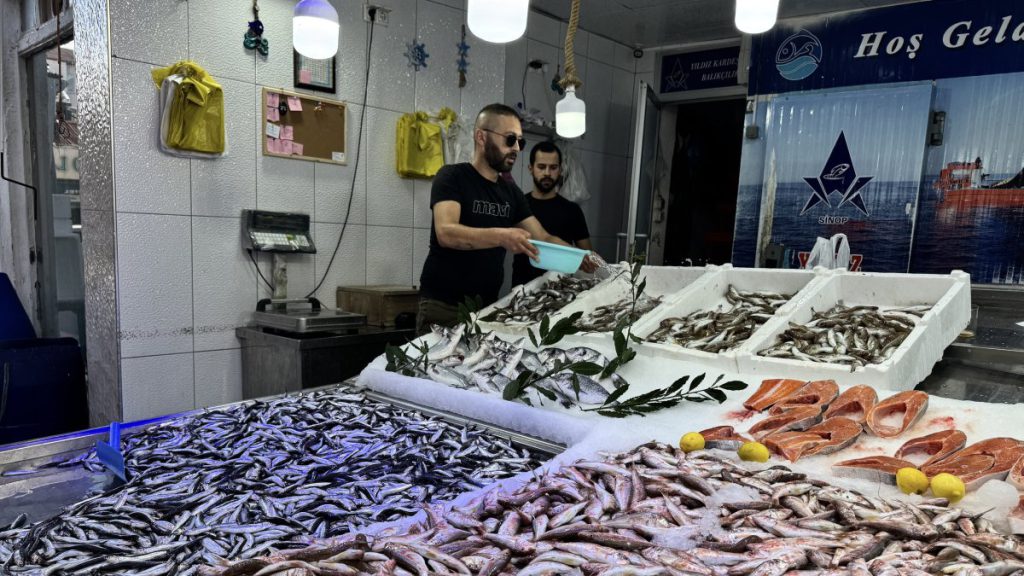 Turkey’s Fishing Season Opens with Hopes for Abundant Anchovy Catch