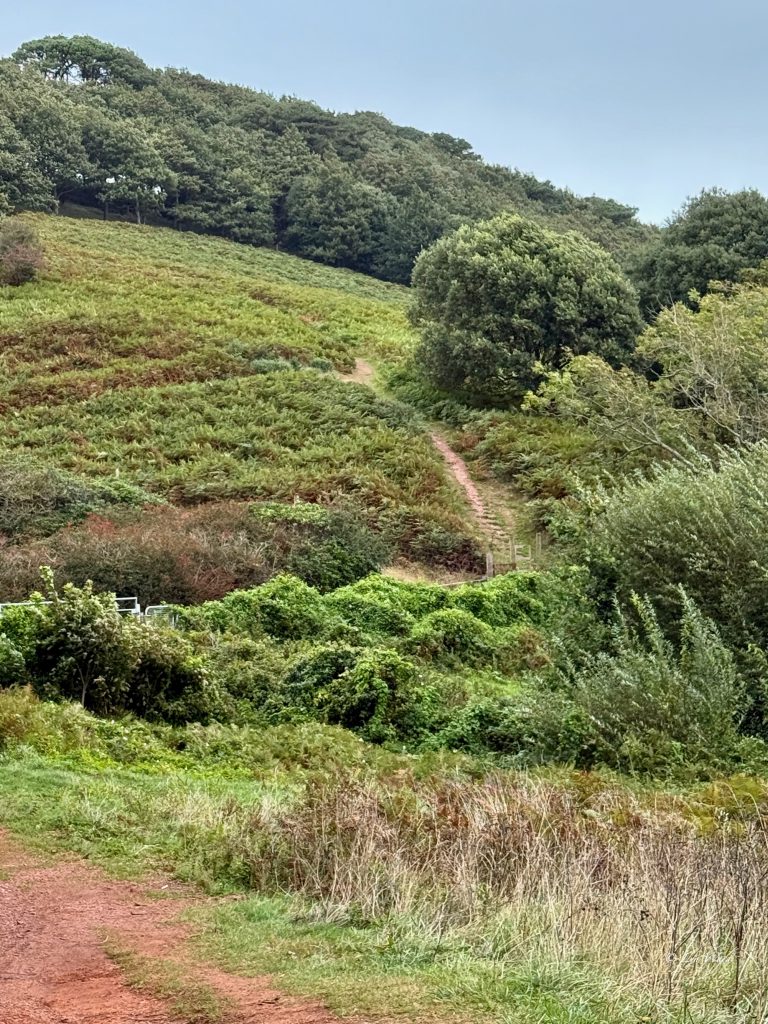 Walking the South West Coast Path