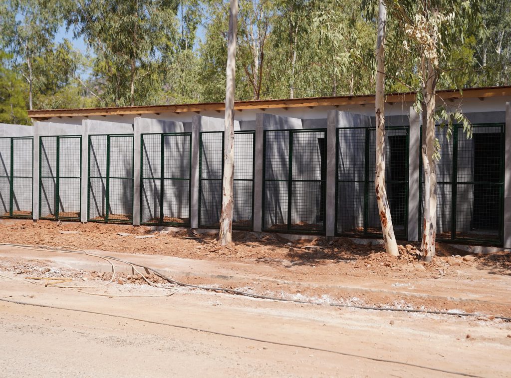 Renovation Work at Fethiye Municipality Animal Shelter Progressing Rapidly