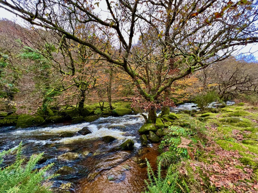 Dartmoor