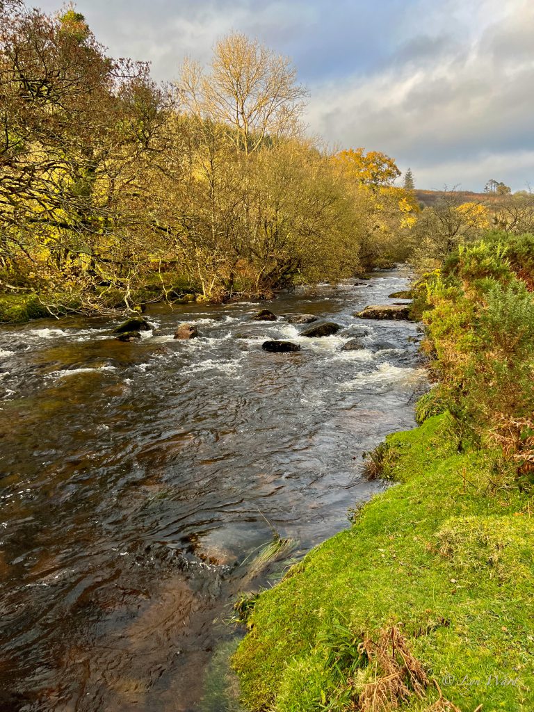 Dartmoor