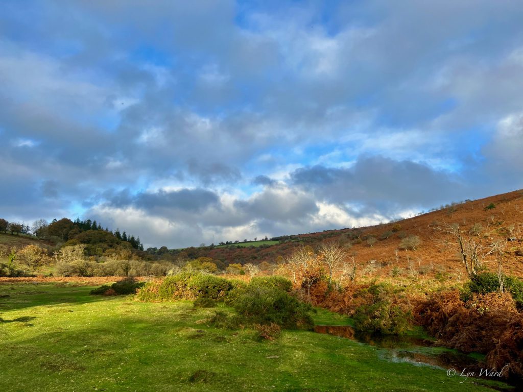 Dartmoor