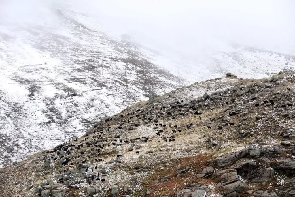 Early Snowfall Blankets Turkey’s High Peaks