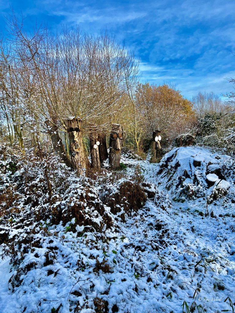 The Coffin Walk