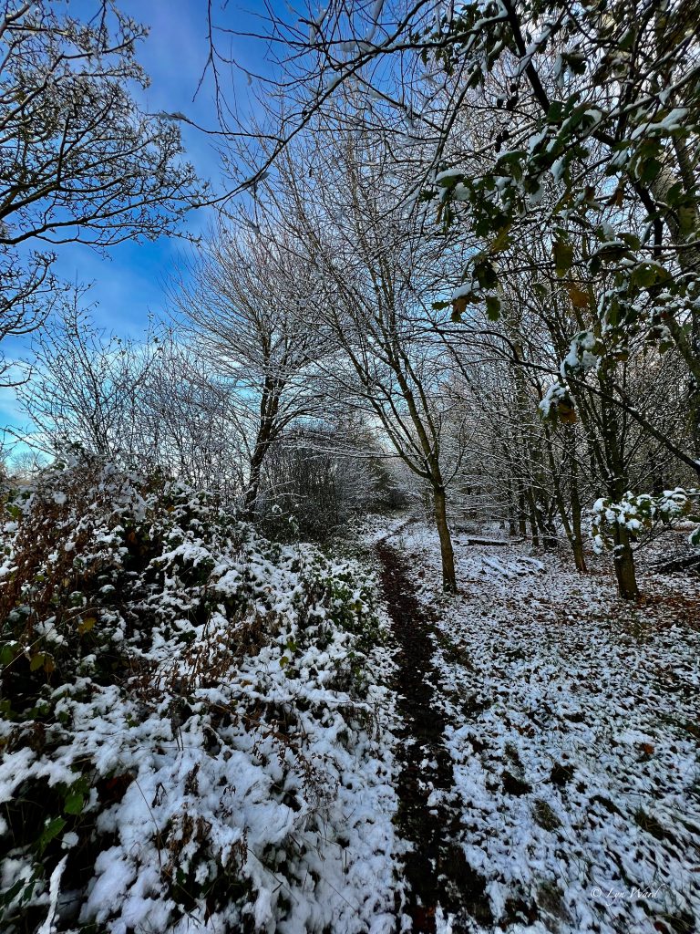 The Coffin Walk