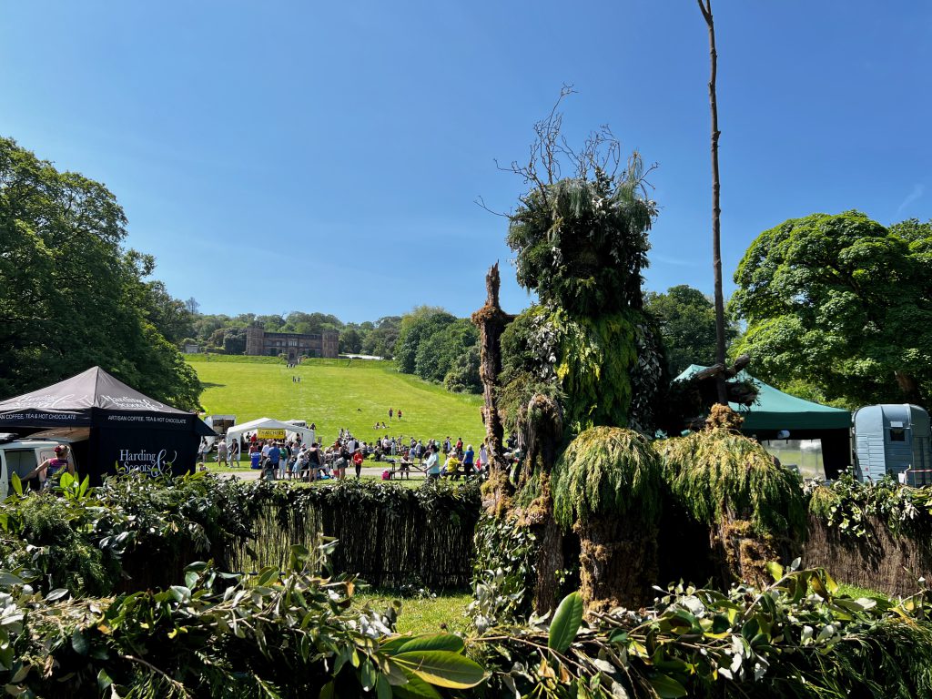 Green Man Weekend - Mount Edgcumbe