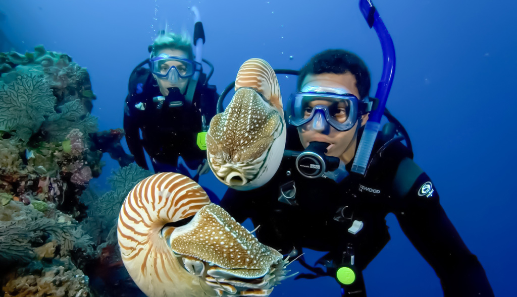 The Golden Fin Underwater Imaging Turkish Championship Begins in Fethiye