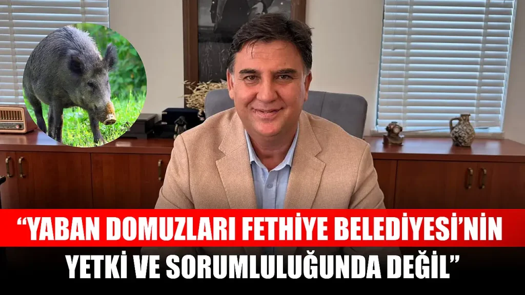 Mayor Karaca Highlights Municipality’s Role in Animal Welfare, Clarifies Wild Boar Responsibility