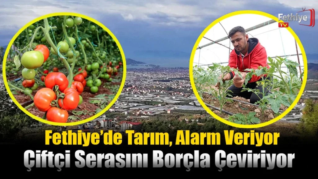Greenhouse Farming in Fethiye Faces an Uncertain Future