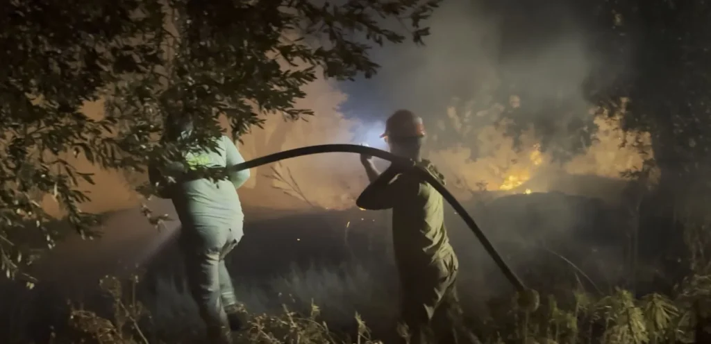 Fire in Fethiye Olive Grove and Maquis Forest Extinguished
