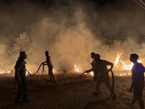 Fire in Fethiye Olive Grove and Maquis Forest Extinguished